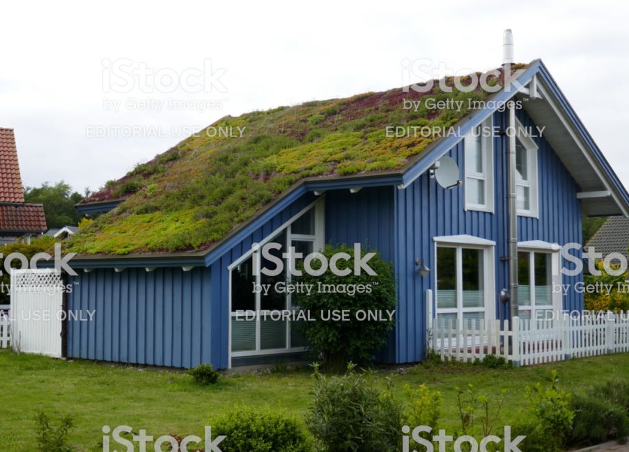 Haus mit Dachbegrünung